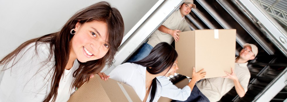 Professional Removalists Stanwell